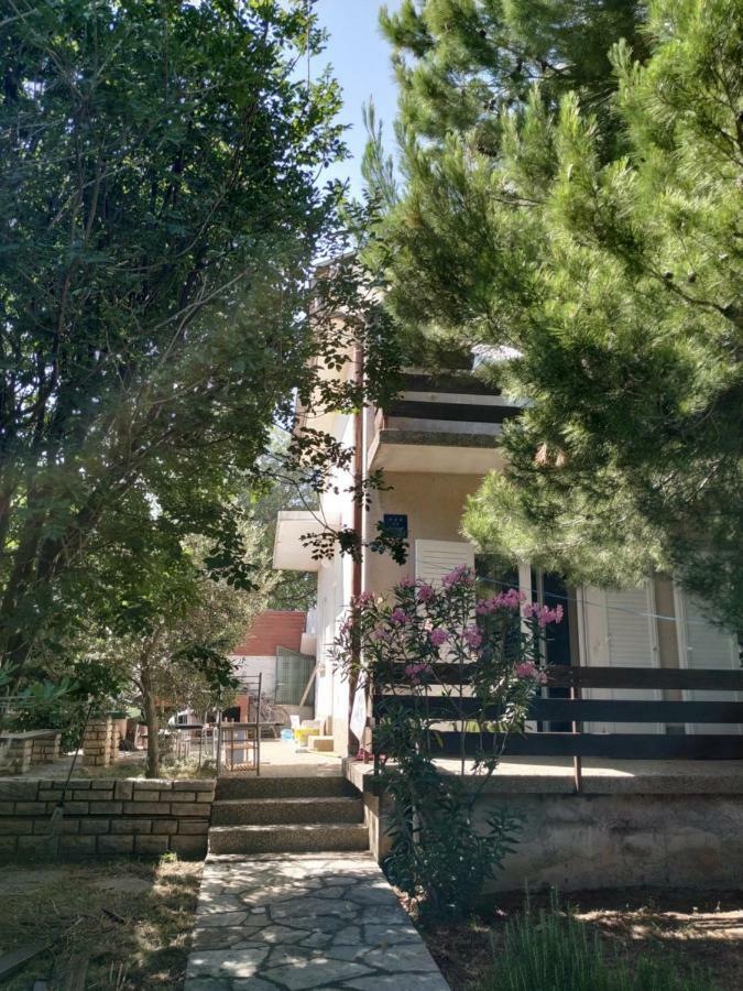 Danica Holiday House Cesarica Zewnętrze zdjęcie