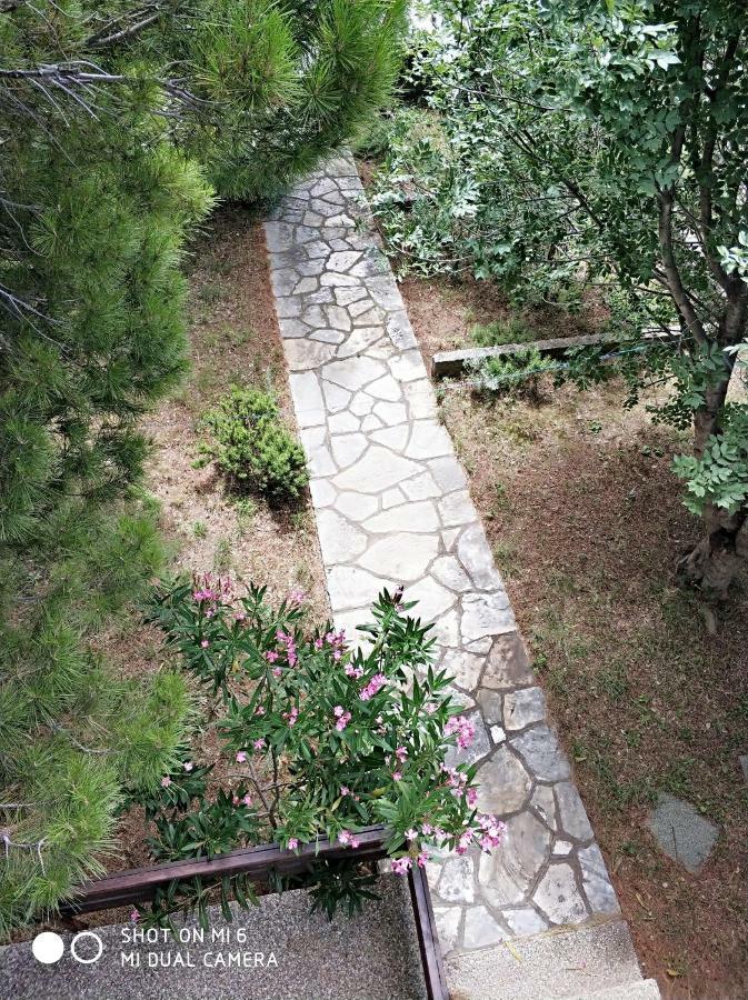 Danica Holiday House Cesarica Zewnętrze zdjęcie